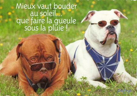 Les Vacances